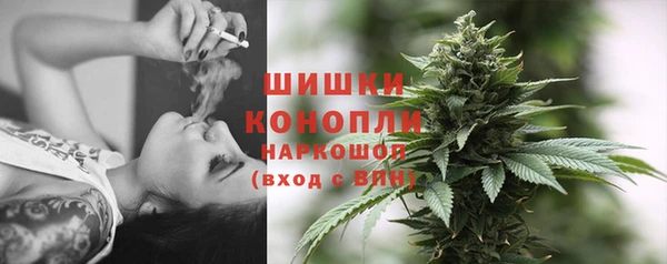 хмурый Арсеньев