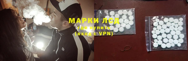 хмурый Арсеньев