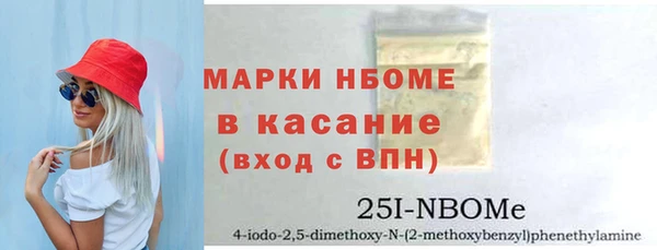 хмурый Арсеньев