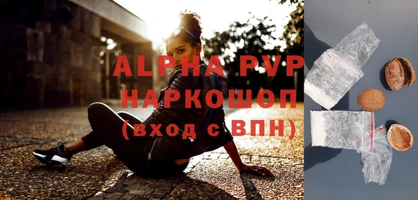хмурый Арсеньев