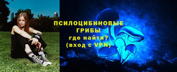 хмурый Арсеньев