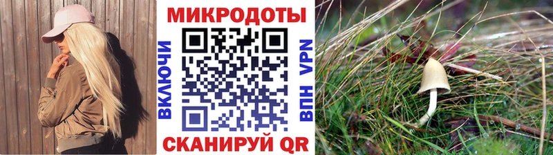 где купить наркотик  Макаров  Галлюциногенные грибы мицелий 